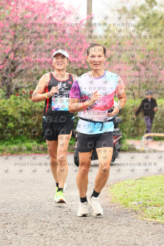 2026左岸竹東櫻花馬拉松Zhudong Sakura Marathon