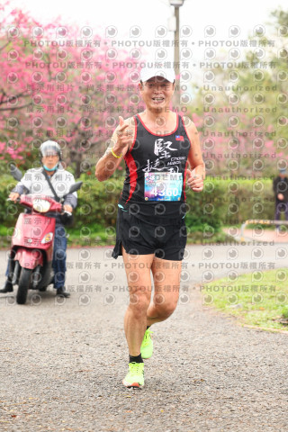 2026左岸竹東櫻花馬拉松Zhudong Sakura Marathon