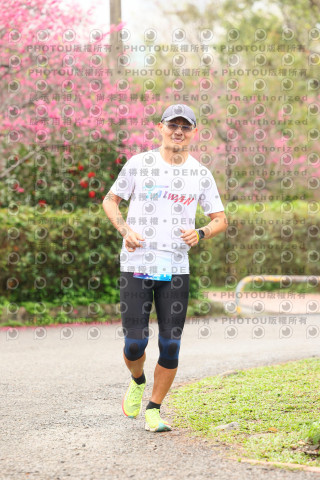 2026左岸竹東櫻花馬拉松Zhudong Sakura Marathon