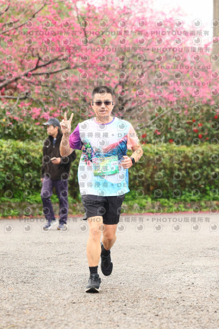 2026左岸竹東櫻花馬拉松Zhudong Sakura Marathon