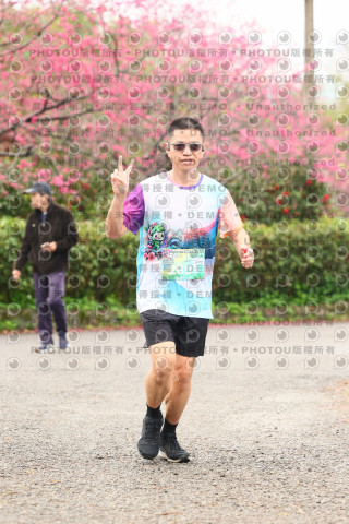 2026左岸竹東櫻花馬拉松Zhudong Sakura Marathon