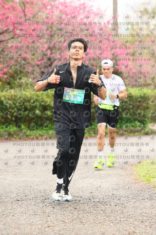 2026左岸竹東櫻花馬拉松Zhudong Sakura Marathon