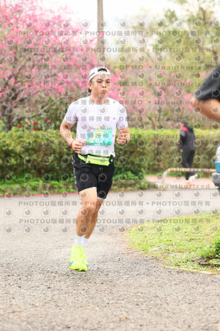 2026左岸竹東櫻花馬拉松Zhudong Sakura Marathon