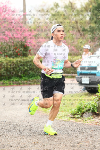 2026左岸竹東櫻花馬拉松Zhudong Sakura Marathon