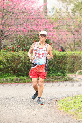 2026左岸竹東櫻花馬拉松Zhudong Sakura Marathon