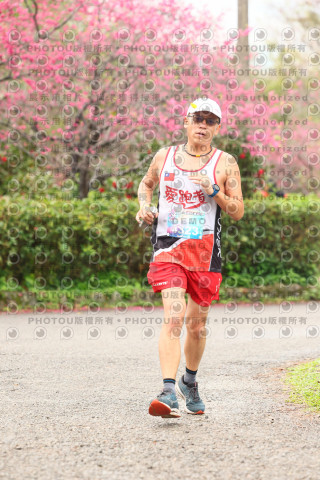 2026左岸竹東櫻花馬拉松Zhudong Sakura Marathon