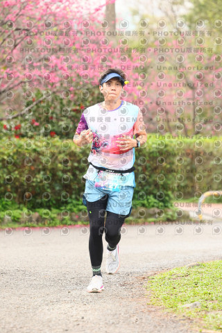 2026左岸竹東櫻花馬拉松Zhudong Sakura Marathon