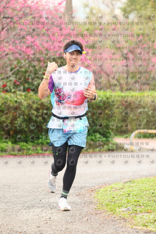 2026左岸竹東櫻花馬拉松Zhudong Sakura Marathon