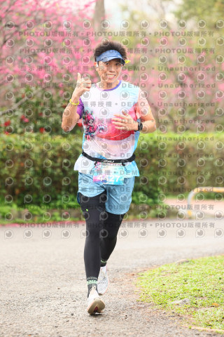 2026左岸竹東櫻花馬拉松Zhudong Sakura Marathon