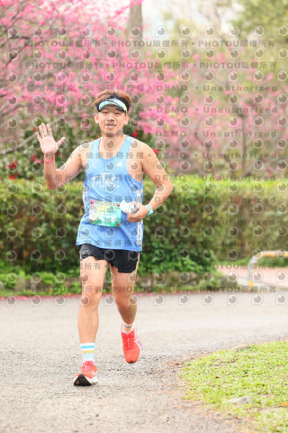 2026左岸竹東櫻花馬拉松Zhudong Sakura Marathon