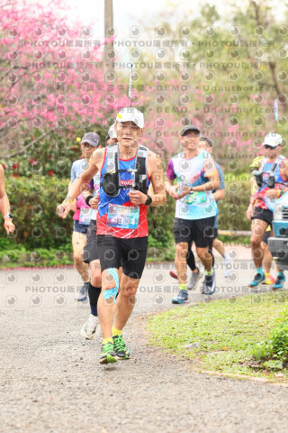 2026左岸竹東櫻花馬拉松Zhudong Sakura Marathon