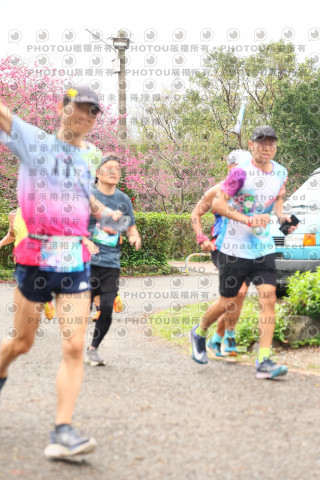 2026左岸竹東櫻花馬拉松Zhudong Sakura Marathon