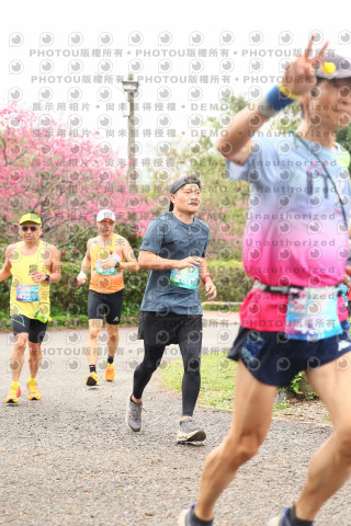 2026左岸竹東櫻花馬拉松Zhudong Sakura Marathon
