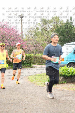 2026左岸竹東櫻花馬拉松Zhudong Sakura Marathon
