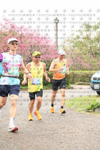 2026左岸竹東櫻花馬拉松Zhudong Sakura Marathon