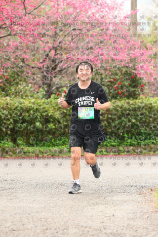2026左岸竹東櫻花馬拉松Zhudong Sakura Marathon