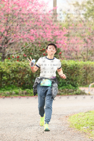 2026左岸竹東櫻花馬拉松Zhudong Sakura Marathon