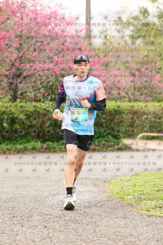 2026左岸竹東櫻花馬拉松Zhudong Sakura Marathon