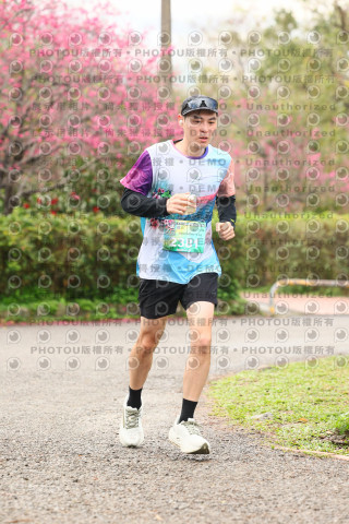 2026左岸竹東櫻花馬拉松Zhudong Sakura Marathon