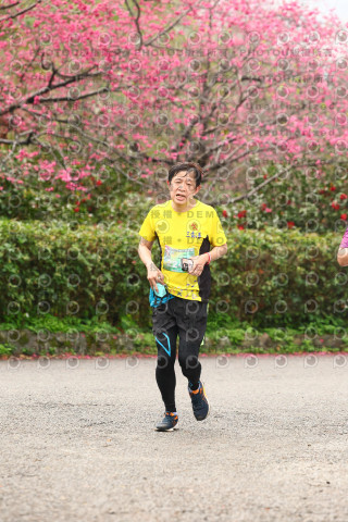 2026左岸竹東櫻花馬拉松Zhudong Sakura Marathon