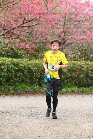 2026左岸竹東櫻花馬拉松Zhudong Sakura Marathon