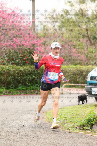 2026左岸竹東櫻花馬拉松Zhudong Sakura Marathon
