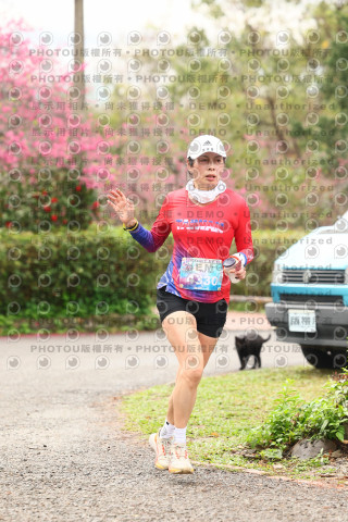 2026左岸竹東櫻花馬拉松Zhudong Sakura Marathon