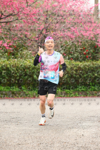 2026左岸竹東櫻花馬拉松Zhudong Sakura Marathon