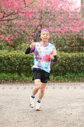 2026左岸竹東櫻花馬拉松Zhudong Sakura Marathon
