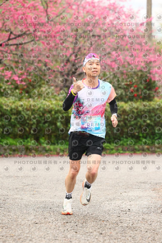 2026左岸竹東櫻花馬拉松Zhudong Sakura Marathon
