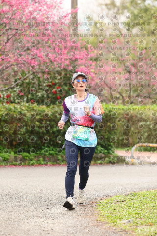 2026左岸竹東櫻花馬拉松Zhudong Sakura Marathon