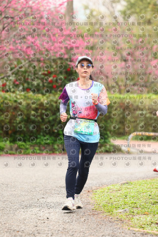 2026左岸竹東櫻花馬拉松Zhudong Sakura Marathon