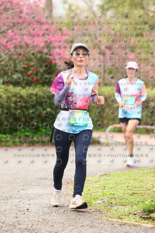 2026左岸竹東櫻花馬拉松Zhudong Sakura Marathon