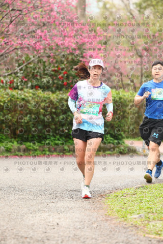 2026左岸竹東櫻花馬拉松Zhudong Sakura Marathon