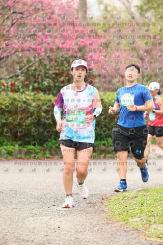 2026左岸竹東櫻花馬拉松Zhudong Sakura Marathon