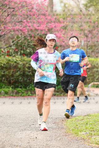 2026左岸竹東櫻花馬拉松Zhudong Sakura Marathon
