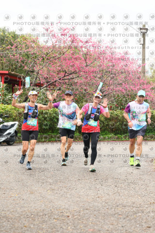2026左岸竹東櫻花馬拉松Zhudong Sakura Marathon