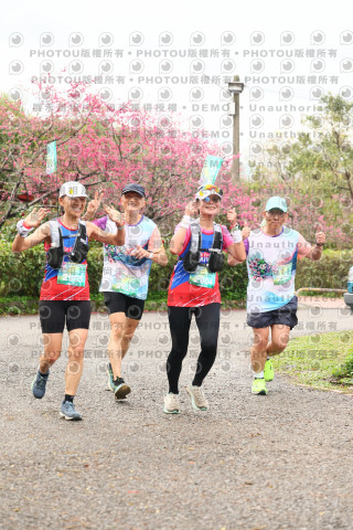 2026左岸竹東櫻花馬拉松Zhudong Sakura Marathon