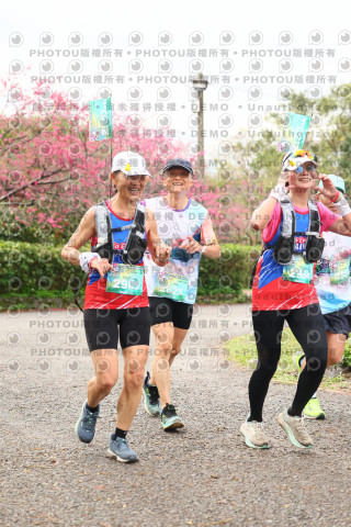 2026左岸竹東櫻花馬拉松Zhudong Sakura Marathon