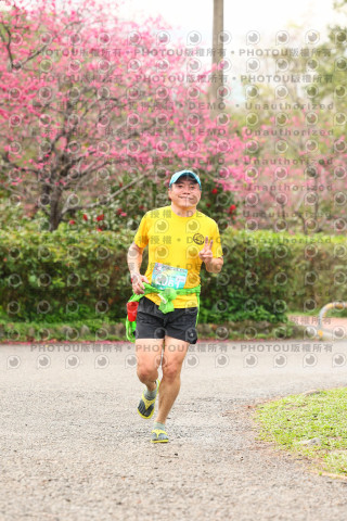 2026左岸竹東櫻花馬拉松Zhudong Sakura Marathon