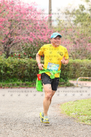 2026左岸竹東櫻花馬拉松Zhudong Sakura Marathon