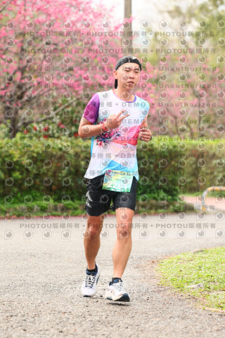 2026左岸竹東櫻花馬拉松Zhudong Sakura Marathon