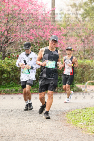 2026左岸竹東櫻花馬拉松Zhudong Sakura Marathon