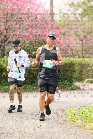2026左岸竹東櫻花馬拉松Zhudong Sakura Marathon