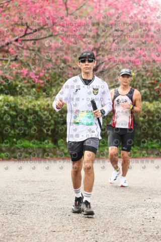 2026左岸竹東櫻花馬拉松Zhudong Sakura Marathon