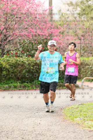 2026左岸竹東櫻花馬拉松Zhudong Sakura Marathon