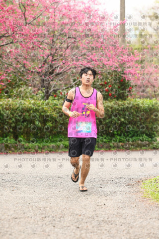 2026左岸竹東櫻花馬拉松Zhudong Sakura Marathon