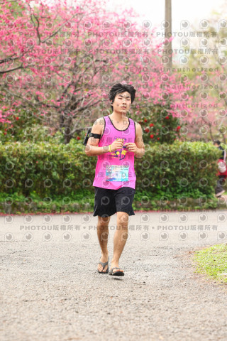 2026左岸竹東櫻花馬拉松Zhudong Sakura Marathon