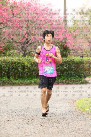 2026左岸竹東櫻花馬拉松Zhudong Sakura Marathon