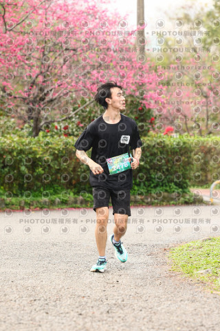2026左岸竹東櫻花馬拉松Zhudong Sakura Marathon